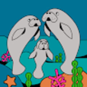 Meet your Posher, Keriann